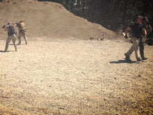 Dismounted Small Team Operations (DSTO)- Personal Escort Section (PES)